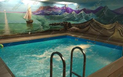 Сауна Лисья нора, в Барнауле, Космонавтов, д.14 б к 2 | Бассейн. Фото: 1 | 101sauna.ru