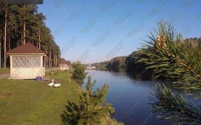 Сауна Зелёный Бор, в Екатеринбурге, пос. Зелёный бор, ул. Рыбоводов, 12 | вид на пруд | 101sauna.ru