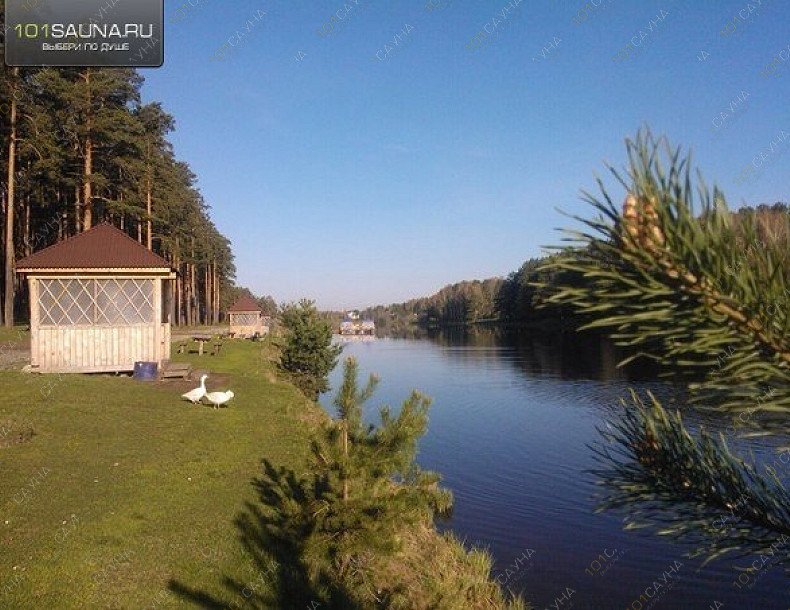 Сауна Зелёный Бор, в Екатеринбурге, пос. Зелёный бор, ул. Рыбоводов, 12 | вид на пруд | 101sauna.ru