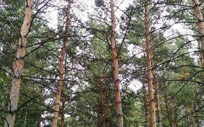 Баня в отеле Аквариум, в Кемерове, Механизаторов, 15а | 8 | 101sauna.ru