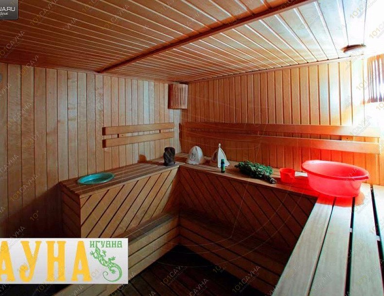 Сауна Игуана, в Санкт-Петербурге, Раевского проспект, 16 | Финская сауна | 101sauna.ru