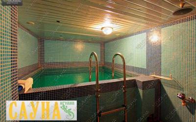 Сауна Игуана, в Санкт-Петербурге, Раевского проспект, 16 | Бассейн | 101sauna.ru