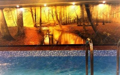 сауна Экзотика, в Сургуте, Университетская, 29 | 3 | 101sauna.ru