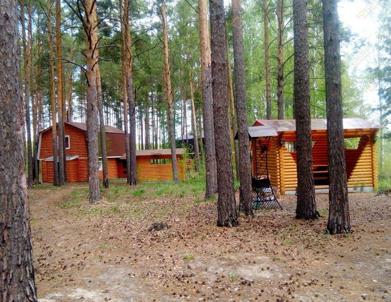 Баня Ёлки палки, в Тюмени, Окружная дорога, 5 | Баня | 101sauna.ru