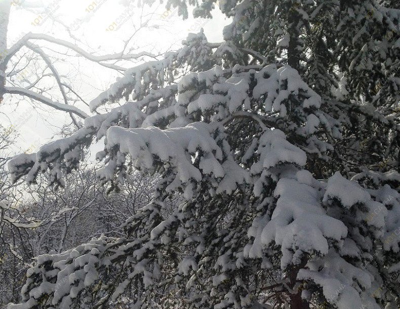 баня на базе отдыха Елочки, в Южно-Сахалинске, г. Южно-Сахалинск, с. Елочки | 15 | 101sauna.ru