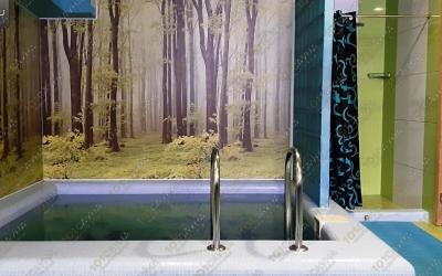Сауна-баня Пегас, в Самаре, улица Энтузиастов, 97б | Малый зал. Фото: 1 | 101sauna.ru