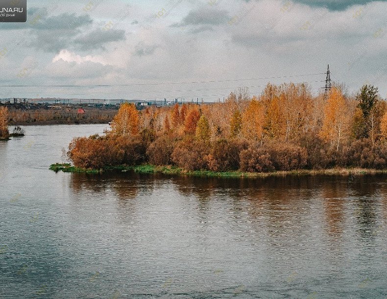 Парные на Енисее Кедровый Берег, в Красноярске, Парковая 20/1 | СОБОЛИНАЯ НОРА. Фото: 124 | 101sauna.ru