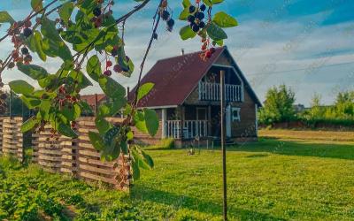 Баня А-ля-рус, в Курске, улица Олимпийская, 85Г | 1 | 101sauna.ru