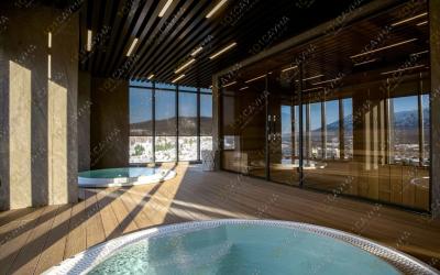спа комплекс Wow Aparts SPA, в Шерегеше, ​улица Пирогова, 1 (11 этаж) | 1 | 101sauna.ru