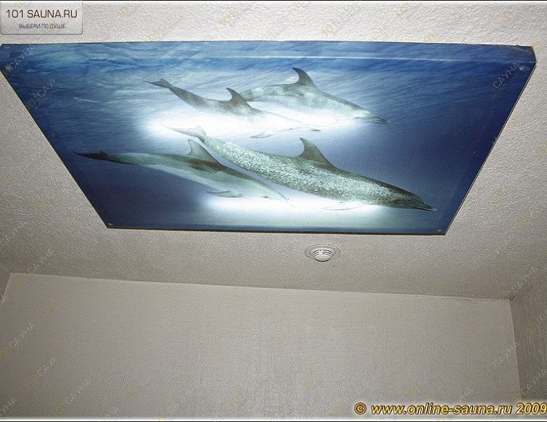 Сауна Оазис, в Новосибирске, Оловозаводская, 25в | 25 | 101sauna.ru