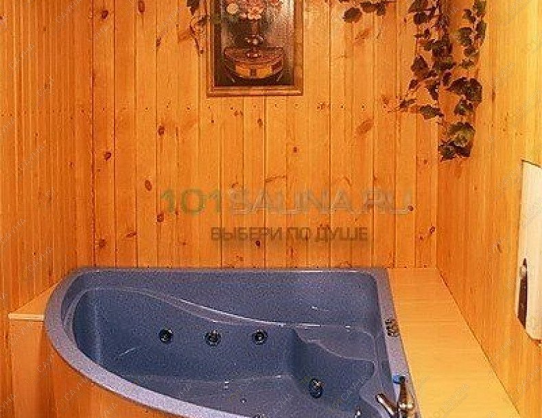 Сауна Платан, в Новосибирске, Большевистская, 255 к 2 | 3 | 101sauna.ru