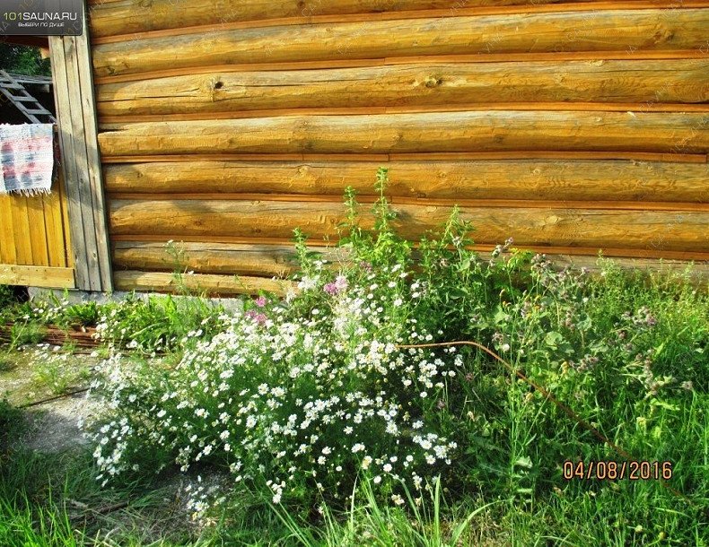 Русская баня на Шарташе, в Екатеринбурге, Проезжая, 235 | 25 | 101sauna.ru