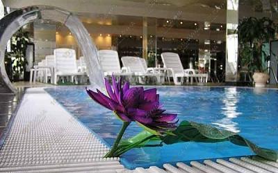 Spa-Центр Лотос, в Сочи, Курортный проспект, 72 | 2 | 101sauna.ru
