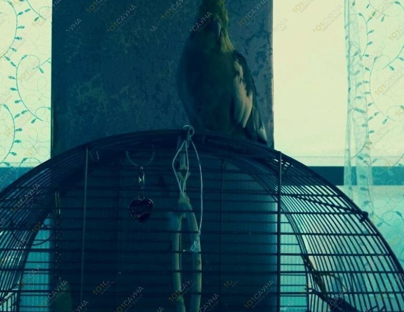 Сауна Лагуна, в Иркутске, Мухиной, 8 | 13 | 101sauna.ru