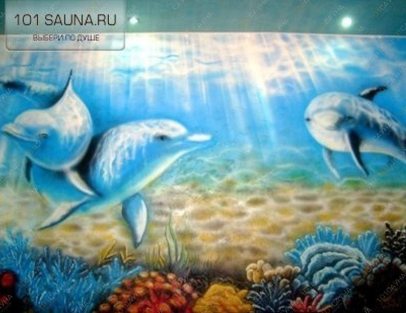 Сауна Дельфин, в Челябинске, Новороссийская, 122 | 2 | 101sauna.ru