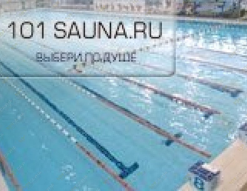 Сауна 5 элемент, в Челябинске, Сони Кривой, 60 | 7 | 101sauna.ru