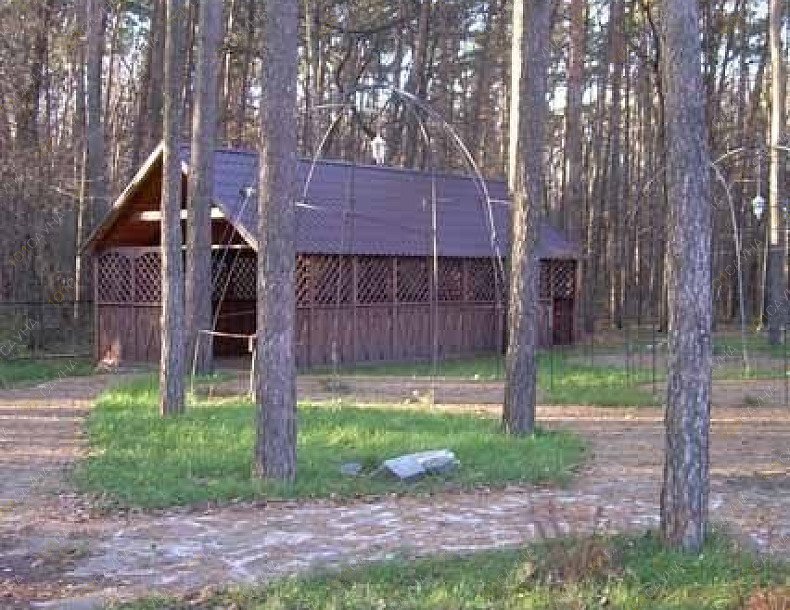 Сауна Шишка, в Белгороде, Волчанская, 292 Б | 13 | 101sauna.ru