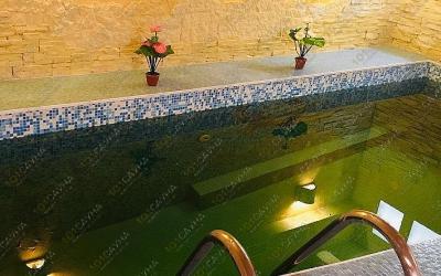 Сауна Золотая черепаха, в Саратове, Чернышевского, 193 | 3 | 101sauna.ru