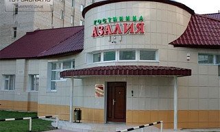 Азалия