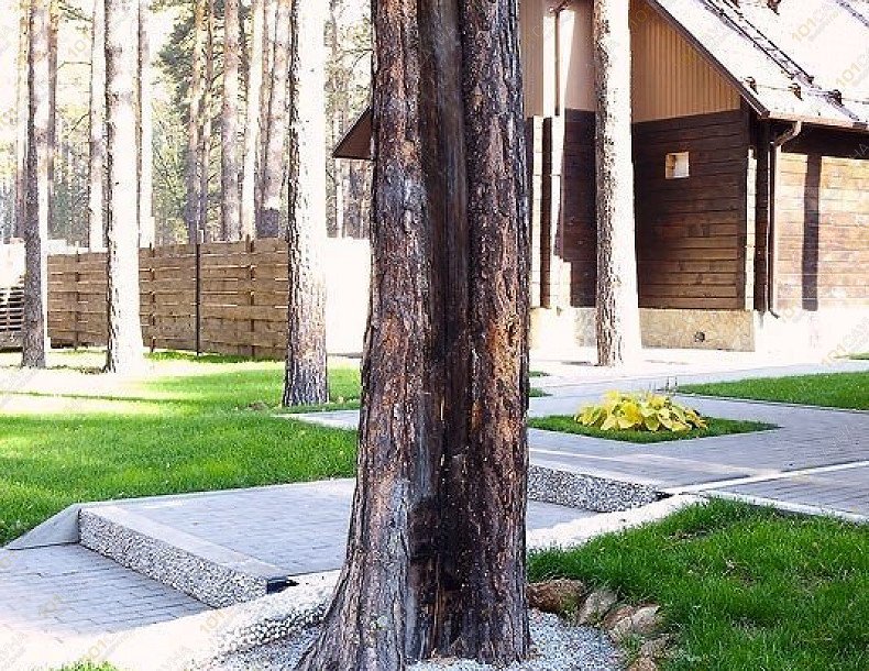 Баня Времена года, в Новосибирске, Новосибирская область, "Заельцовский парк" (ул. Парковая, 88 корпус 4) | 5 | 101sauna.ru