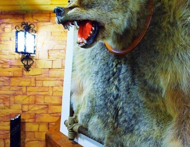 Сауна Шелест, в Хабаровске, ул. Шелеста, 73 Г | 12 | 101sauna.ru
