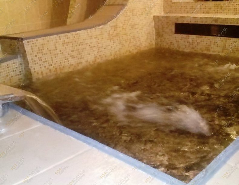 Сауна Фортуна, в Нижнем Тагиле, Дарвина, 28А | 12 | 101sauna.ru