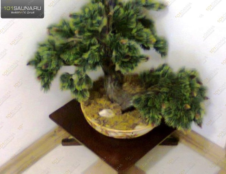 Релакс салон Сатори, в Симферополе, Киевская 179 Б | 2 | 101sauna.ru