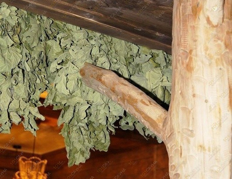 Баня Лукоморье, в Воронеже, Улица Подгоренская, 90 | 12 | 101sauna.ru
