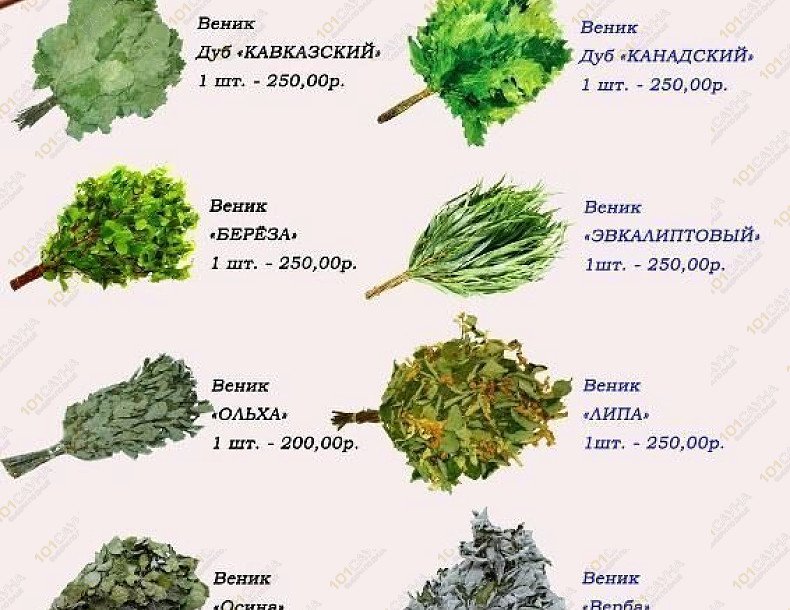 Баня на дровах в Нижней Шаумяновке, в Сочи, пос. Нижняя Шаумяновка, ул. Туманяна, участок 82  (район Дагомыса) | 17 | 101sauna.ru