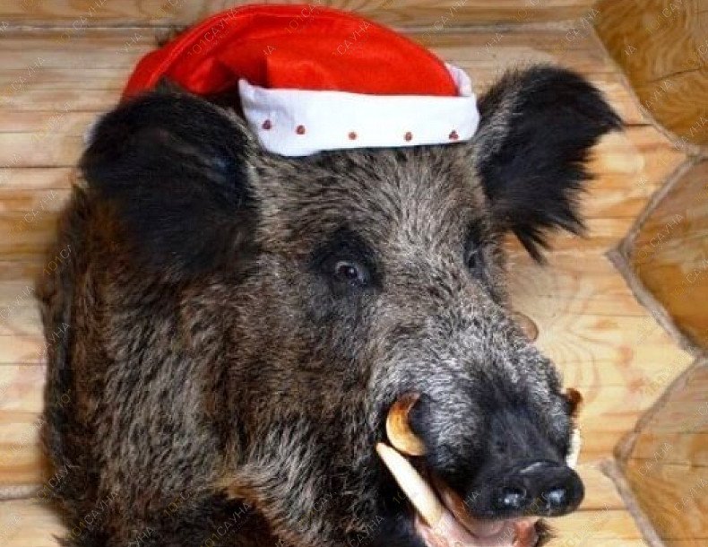 Банный комплекс Тихие пруды, в Ижевске, Севастопольская, 176 | 3 | 101sauna.ru