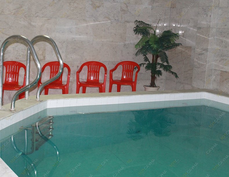Сауна в Нижнем парке, в Липецке, Салтыкова-Щедрина, 1 | Бассейн | 101sauna.ru