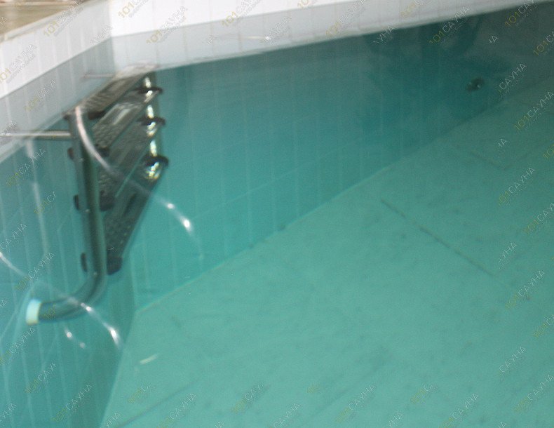 Сауна в Нижнем парке, в Липецке, Салтыкова-Щедрина, 1 | Бассейн | 101sauna.ru