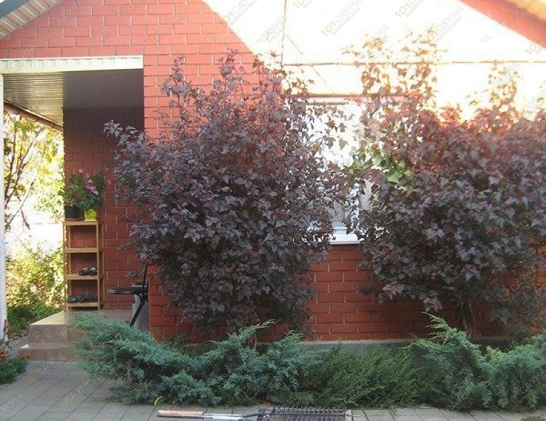 Частная баня На Извилистой, в Белгороде, улица Извилистая, 46 (Репное м-н, Спутник) | 6 | 101sauna.ru