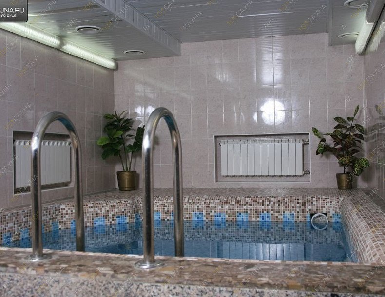 сауна в отеле Дельта, в Иркутске, Карла Либкнехта, 58 | бассейн | 101sauna.ru