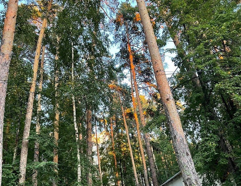 Комплекс Уральские зори 40, в Чебаркуле, оз. Еловое, ГК «Уральские Зори», 1 | 7 | 101sauna.ru