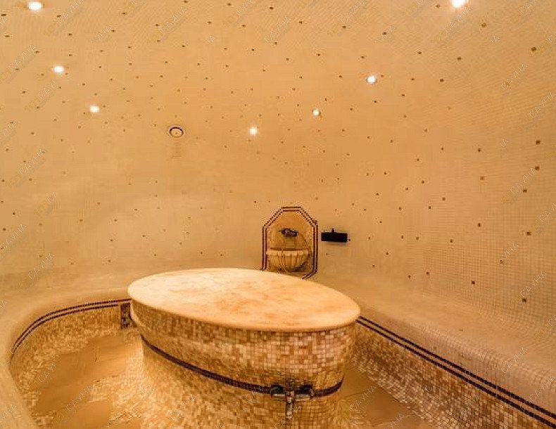 Сауна Фараон, в Москве, Ленинский проспект, 88  | 77 | 101sauna.ru