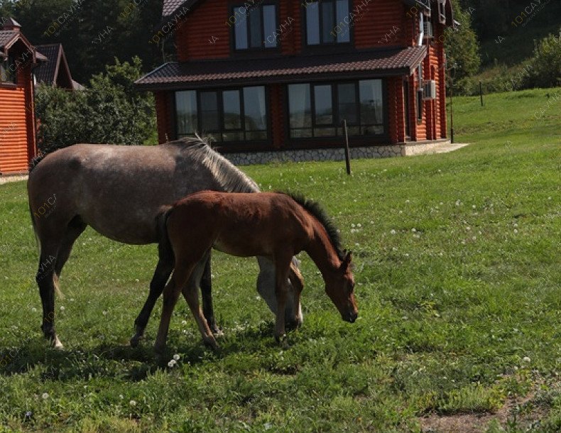 Комплекс Загородный клуб Свияга, в Казани, Новая, 36 | Загородный клуб Свияга | 101sauna.ru
