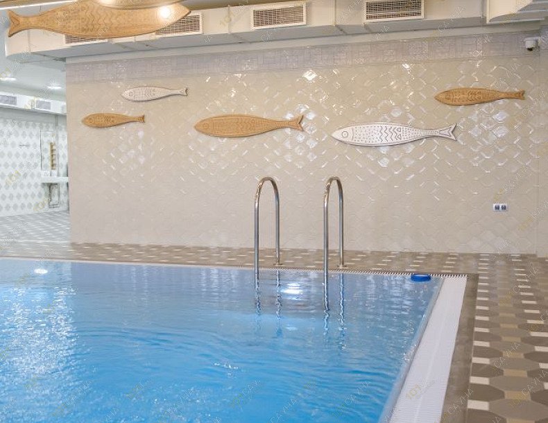 Баня Городские парильни, в Сургуте, Декабристов, 11 | Бассейн | 101sauna.ru