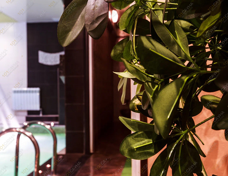 Комплекс саун на Тульской, в Москве, 2-я Рощинская, 4 | 17 | 101sauna.ru