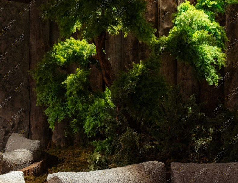 Банный SPA комплекс SIBERIA, в Санкт-Петербурге, Набережная Обводного канала, 146 | Ресепшн. Фото 5 | 101sauna.ru