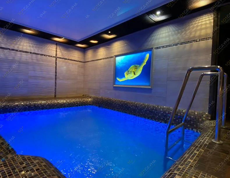 Оздоровительный комплекс Александрия, в Новосибирске, Дмитрия Донского, 26/1 | Номер "Финский номер с бассейном": Финский номер. Фото 1 | 101sauna.ru