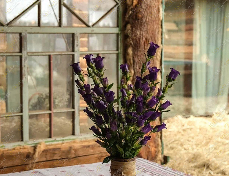 Банный комплекс Алатырь, в Мытищах, Адмиральская, 1 | Номер "Баня «Елань»": Баня «Елань». Фото 9 | 101sauna.ru