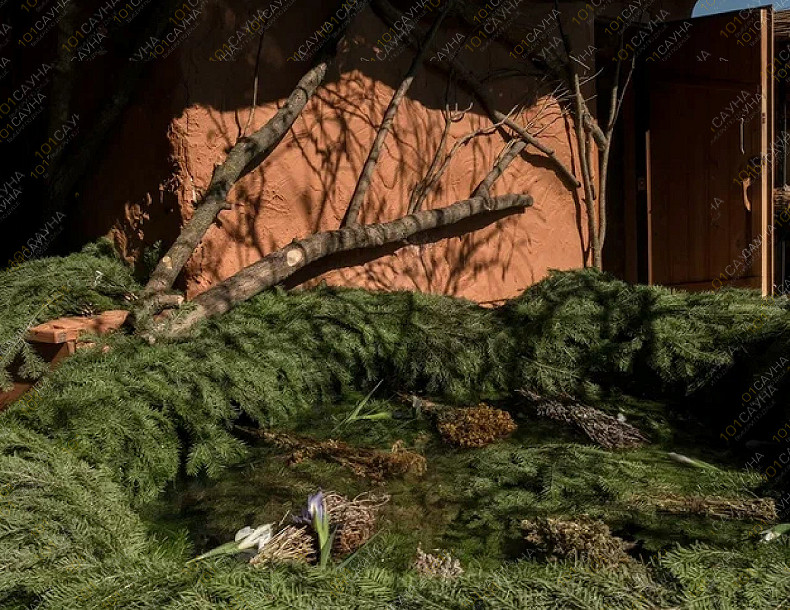 Банный комплекс Алатырь, в Мытищах, Адмиральская, 1 | Номер "Баня знахаря": Баня знахаря. Фото 3 | 101sauna.ru