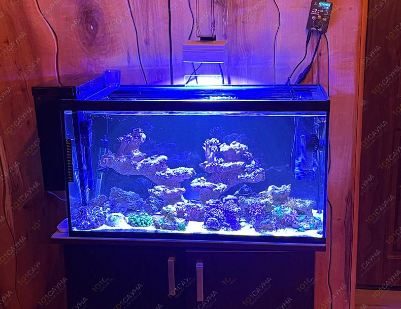 Русская баня на дровах Охотничий привал, в Краснодаре, ул. 40 лет Победы, 2/3 | Ресепшн. Наш аквариум. Фото 1 | 101sauna.ru