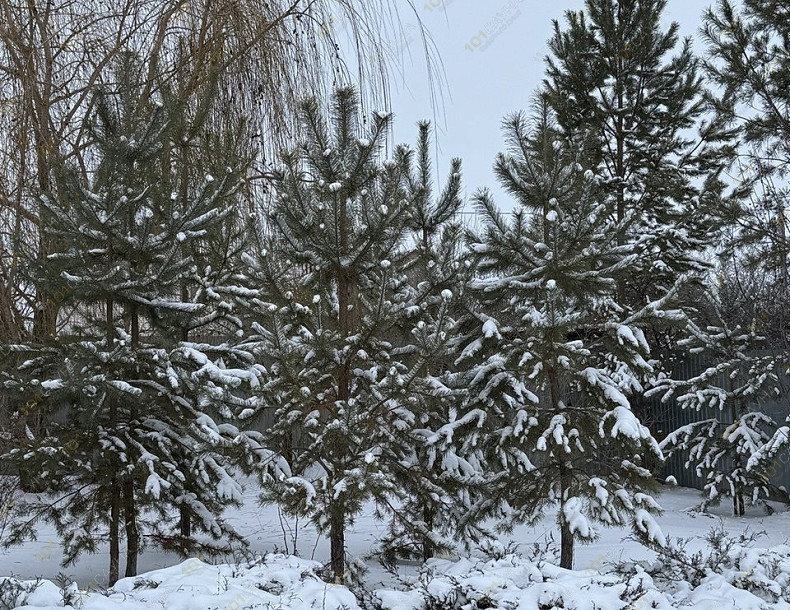 Сауна Альпик, в Оренбурге, ул. прямая, 279 | отдых на свежим воздухе после баньки | 101sauna.ru
