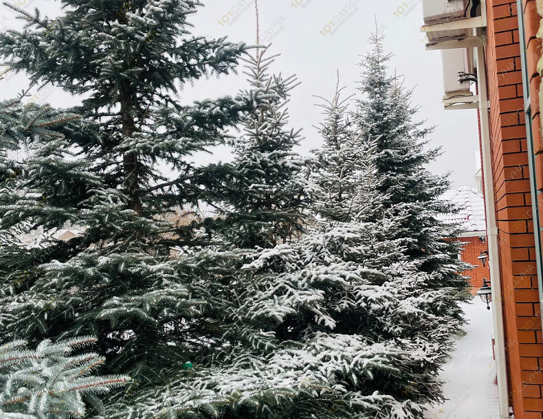 Сауна в коттедже Солди на Зеленом, в Екатеринбурге, Зелёный пер, 13а | 8 | 101sauna.ru