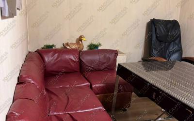 Сауна Малина, в Абакане, Чертыгашева, 63а | 2 | 101sauna.ru