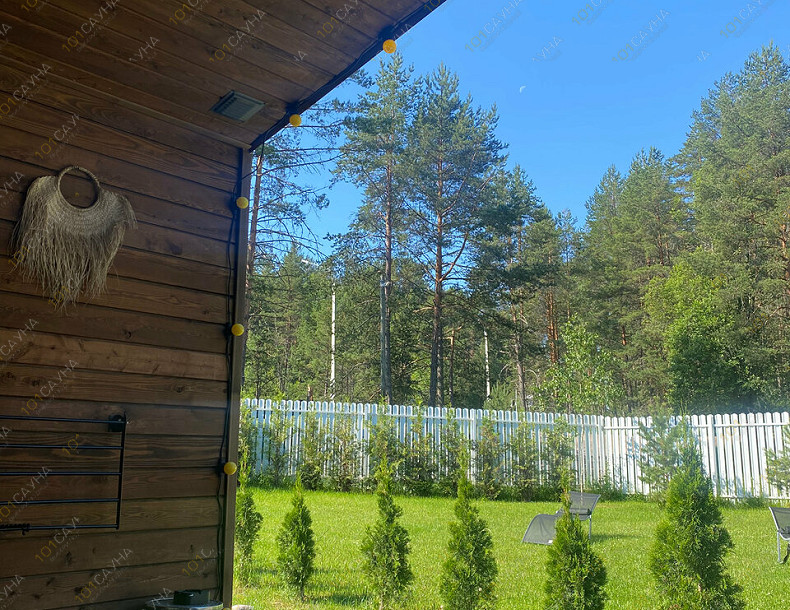 Баня Баня Форест, в Санкт-Петербурге, Приозерский р-н, дер. Борисово, ул. Дачная, 88 | Терраса бани Форест летом — сосновый лес рядом | 101sauna.ru