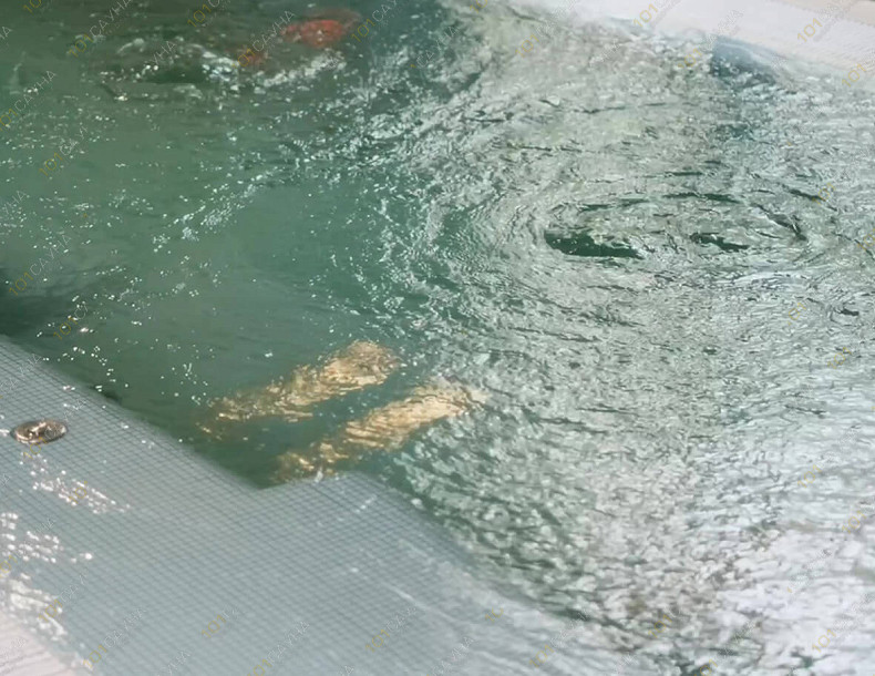 Банный SPA комплекс Parklane Resort  SPA, в Санкт-Петербурге, ул. Рюхина, 9 | Parklane Resort & SPA — СПА-программы и уходы для тела | 101sauna.ru