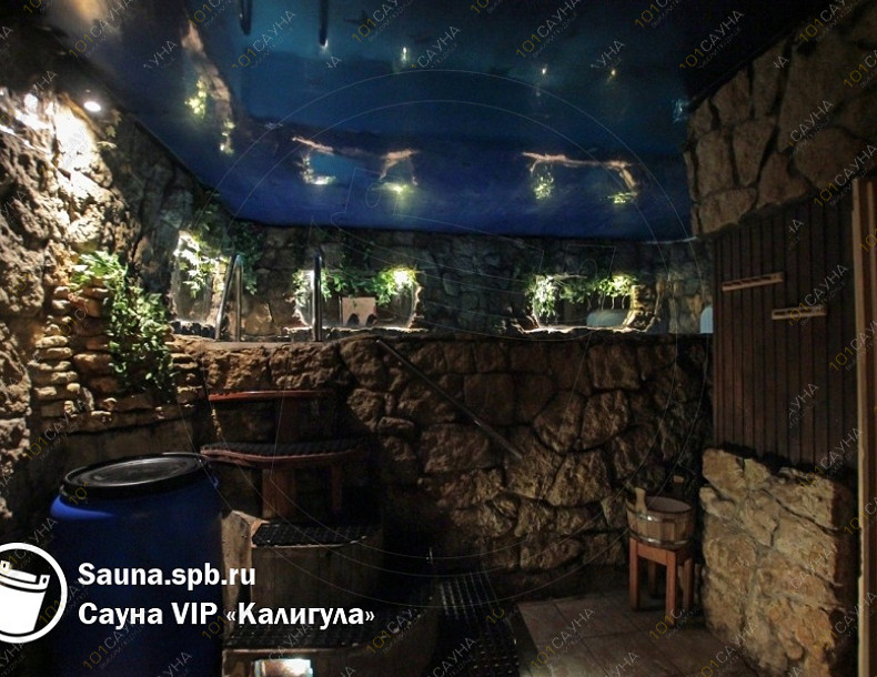 Сауна VIP Калигула, в Санкт-Петербурге, Санкт-Петербург, Сиреневый бульвар, 9 | Интерьер VIP Калигула | 101sauna.ru